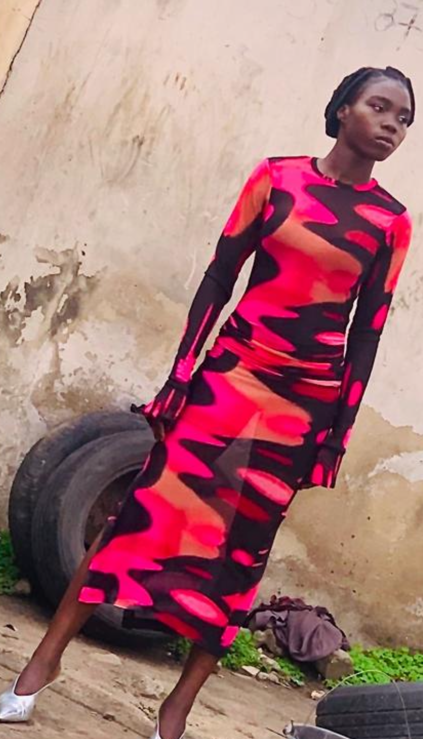 Hand Beaded Pink Flamingo Mesh Dress