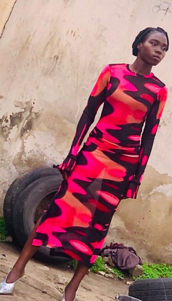 Hand Beaded Pink Flamingo Mesh Dress