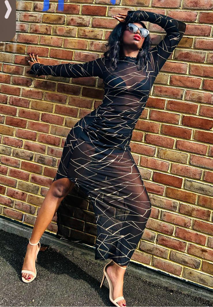 The Sedi Geometric Mesh Maxi Dress